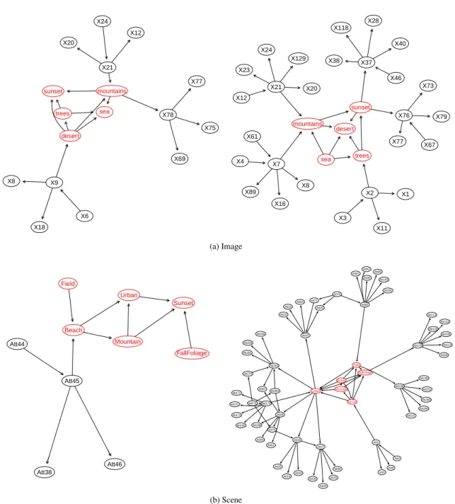 Figure 4: The local BN structures learned by MMHC (left plot) and H2PC (right plot) on a single cross-validation split, on Image and Scene.