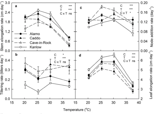 Figure 2(c)Both the tiller and node addition of Alamo remained 