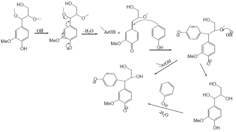 Figure 2-3 Hydrolytic depolymerization mechanism of alkaline lignin catalyzed by 