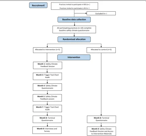 Fig. 1 Flow diagram of the SAP-C feasibility study