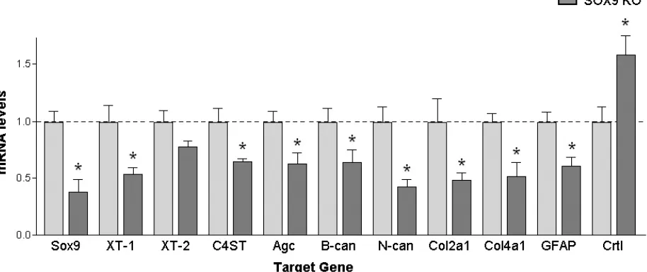 Figure 2.  Sox9 conditional knockdown mice demonstrate reduced glial scar gene 