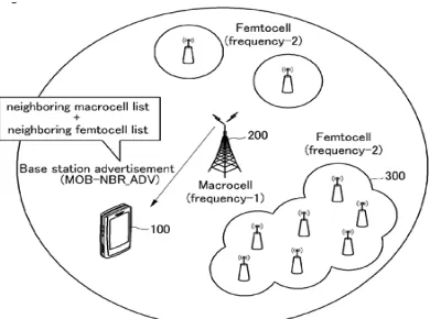Fig 1. Basic structure of Macro and femto cell  