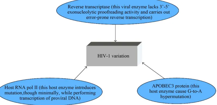 Figure 1. A schematic sketch of error-causing machinery causing HIV-1 genetic diversity [46]