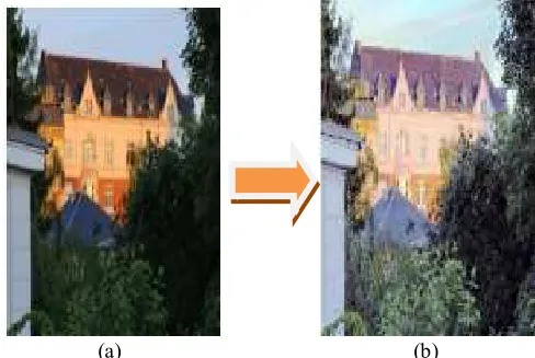 Figure 1 (a) original image   (b) Enhanced Image by applying DSHIE Method 