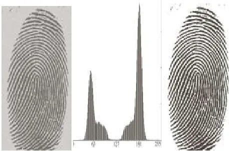 Figure 2 Example of Global Thresholding 