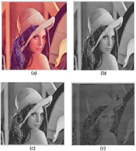 Figure 2: (a) Input Image, (b) Gray Scale Image, (c)  lifted wavelet image, (d) Xilinx Inverse Wave lifted Image 