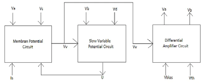 Fig. 1. Block Diagram of cortical neuron circuit 