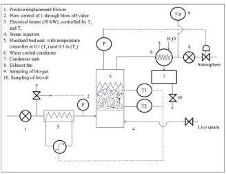 Figure 7. Akzo Nobel process schematic diagram [47]. 