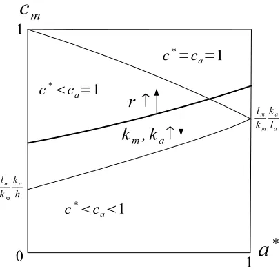 Figure 4: Shape of (P) and its relations with km, ka, and r