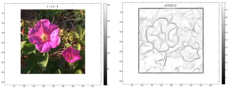 Figure 6. The image edge detection result using SED algorithm.