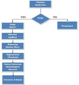 Fig ( 1): Different Phases.  