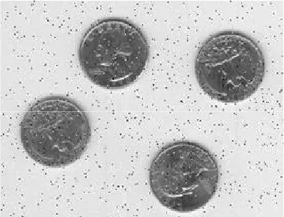 Fig ( 2): Image with Salt and Pepper Noise.  