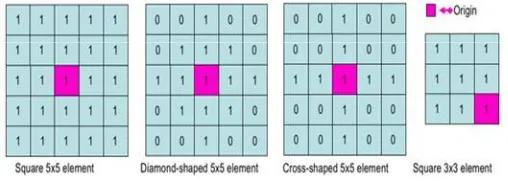 Fig ( 5):  Examples of simple structuring elements. 