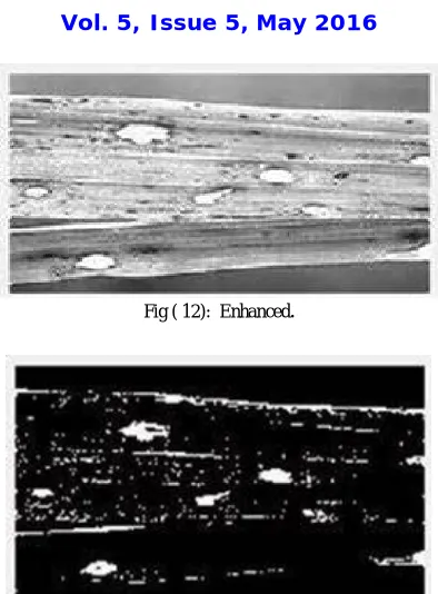 Fig ( 12):  Enhanced.  