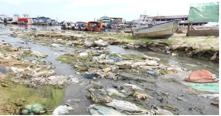 Figura 2: Resíduos no Rio Negro na área urbana de Manaus 