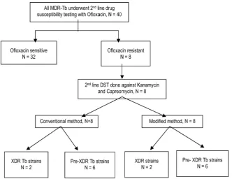 Figure 2. The 2nd line Anti-Tuberculosis Drug susceptibility patterns. 
