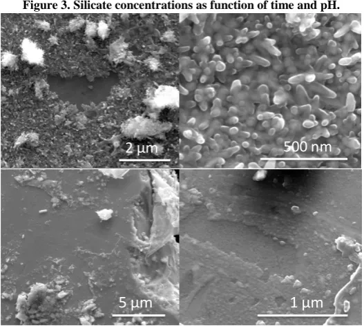 Figure 3. Silicate concentrations as function of time and pH. 