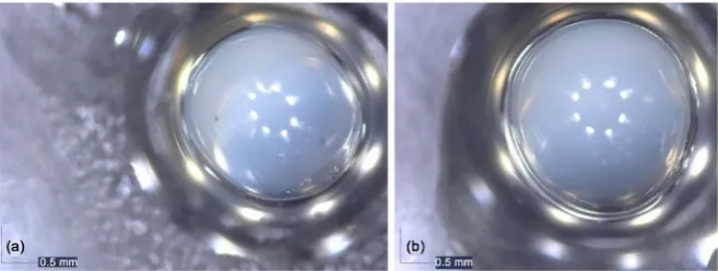 Figure 3. Almond oil capsules obtained under test 3 using 250 V (a) and test 4 (b) using 350 V