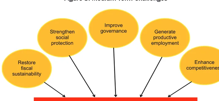 Figure 8. Medium-Term Challenges