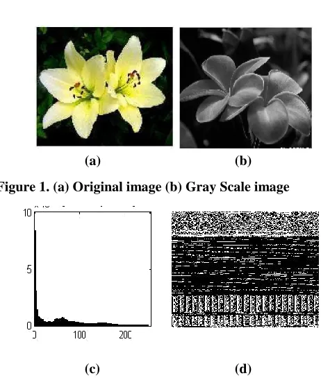 Figure 2.  (c) Histogram of original image (d) Global Threshold 