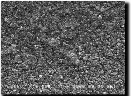 Fig.4 shows that SEM micrograph of the SnO2: F thin film, fluorine doped by ranging from 2 ml to 08 ml in step 