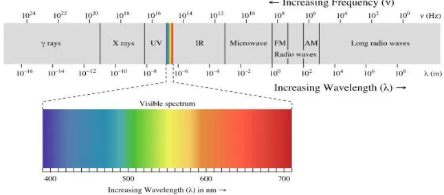 Figure 4:  Sensitivity Spectrum  