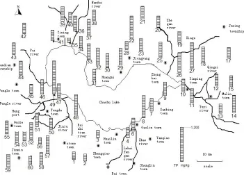 Figure 4. Distribution of total phosphorus concentration of surface soil around Lake Chaohu