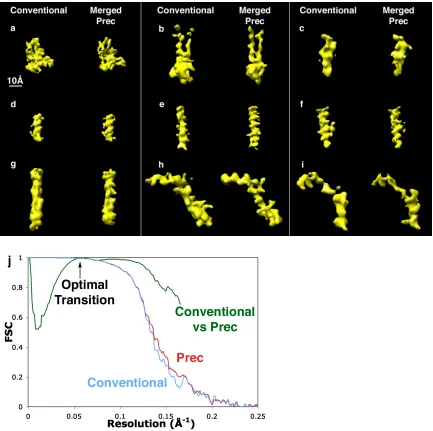 Figure 3-4. Application of Prec to experimental images: 3D reconstruction of CPV.  