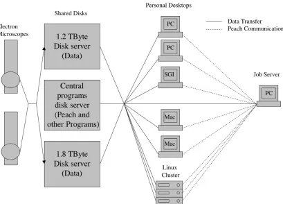 Figure 2-1.  Schematic drawing of the setup and information flow in the testing of Peach