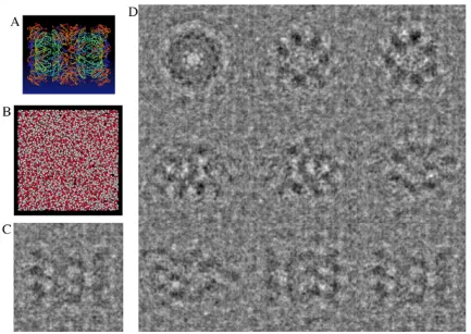 Figure 2-3.  An example image simulation project managed by Peach.  Peach was used 