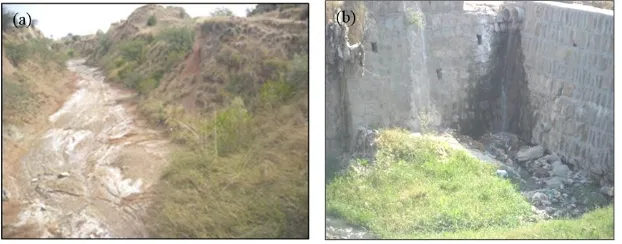 Fig. 4. (a) Chemical deposits in local stream (b) Disposal of waste and sewerage in local Nullah (stream) 