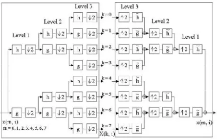 Fig 2 Three Level Wavelet Packet Transform  