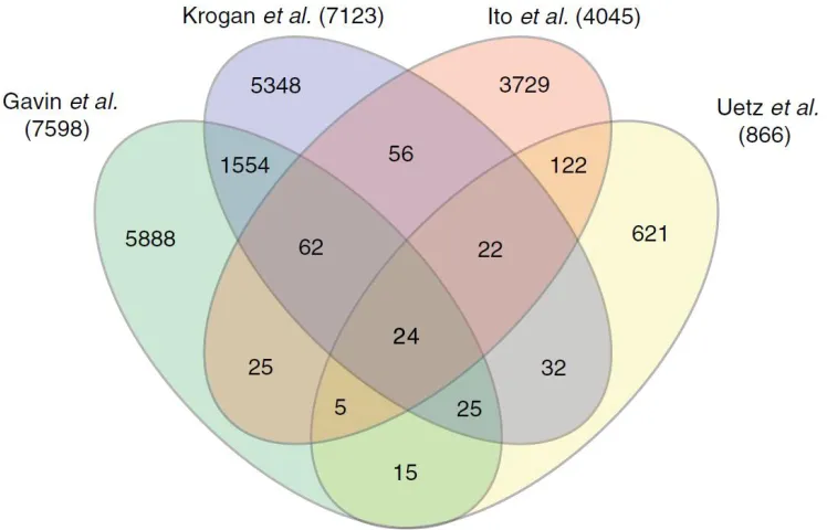 Figure 2.2: A Protein-Protein Interaction Network for yeast. (From: [39])