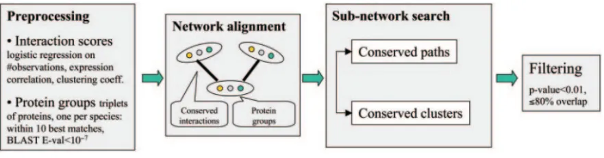 Figure 2.9: NetworkBLAST Framework (From: [45])