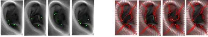 Fig. 5. Potential wells for the same subject. In the left four images, green points are potential wells for each ear 