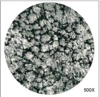 Figure 9. ECC of subzero chilled cast iron. 