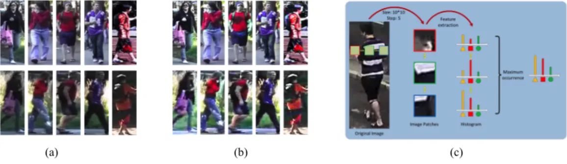 Figure 2.3: (a) Example pairs of images from the VIPeR database [43]. The images in the same column are from same person