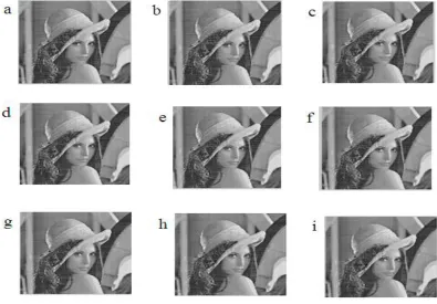 Fig. 3 (a), (b), (c) input images and (d), (e), (f) output images 
