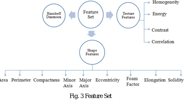 Fig. 3 Feature Set 