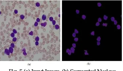 Fig. 5 (a) Input Image, (b) Segmented Nucleus A feature set using the shape, color, and texture parameters of a cell is constructed to obtain all the information required 