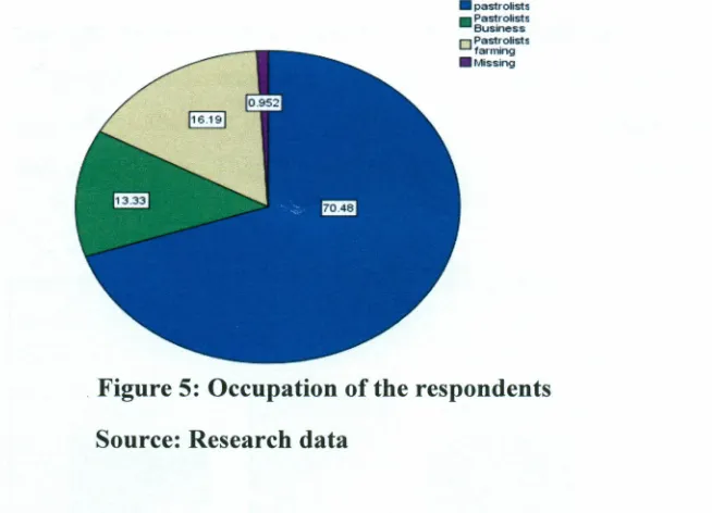 Figure 5: Occupation of the respondents