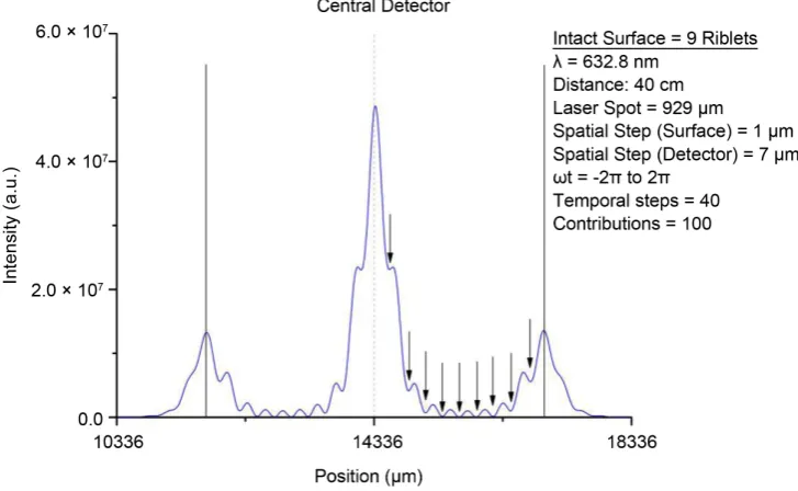 Figure 14. Detail-central detector-intact riblet sample-19 riblets-Fresnel pattern. 
