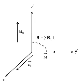 Figure 2.1: (a) Classical representation of the nuclear magnetization vector, aligned 