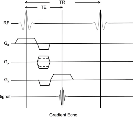 Figure 2.9: Pulse sequence diagram illustrating a typical gradient echo imaging sequence 