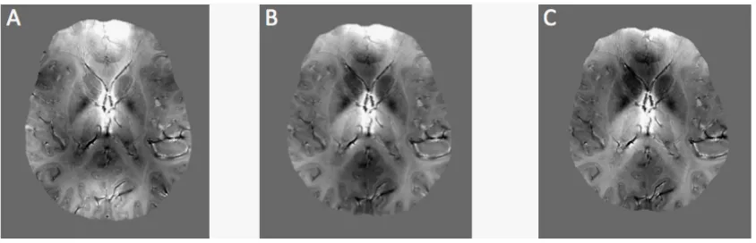Figure 3.2: SHARP filtered LFS maps generated using an increasing spherical kernel 