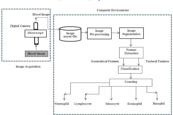 Fig. 1 Block Diagram representing Overall Process  