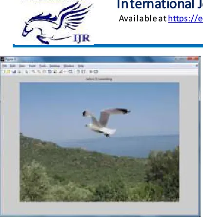 Figure 5.4: After embedding mosaic image 