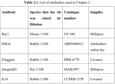 Table 2.1. List of antibodies used in Chapter 2. 