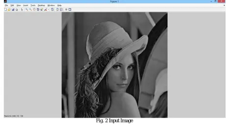 Fig. 2 Input Image  