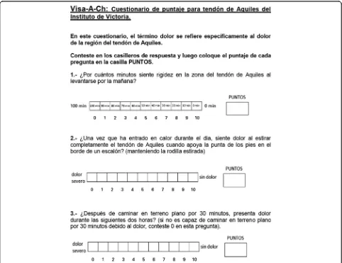 Fig. 3 Image of the final version of the VISA-A-CH questionnaire